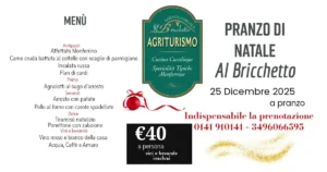 Scopri di più sull'articolo Menù pranzo di Natale 2025